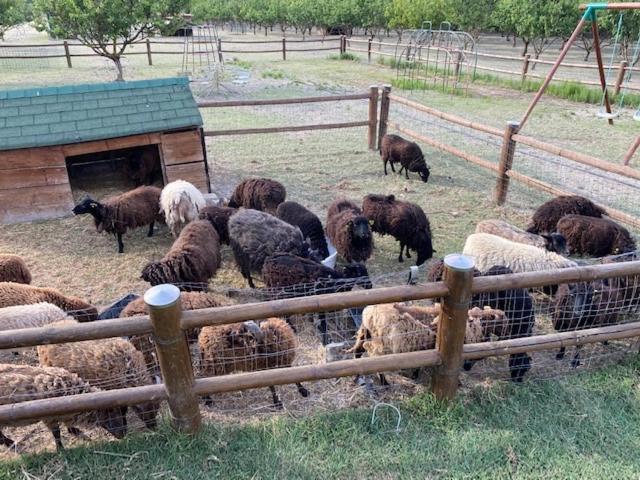 Agriturismo San Michele San Michele  ภายนอก รูปภาพ