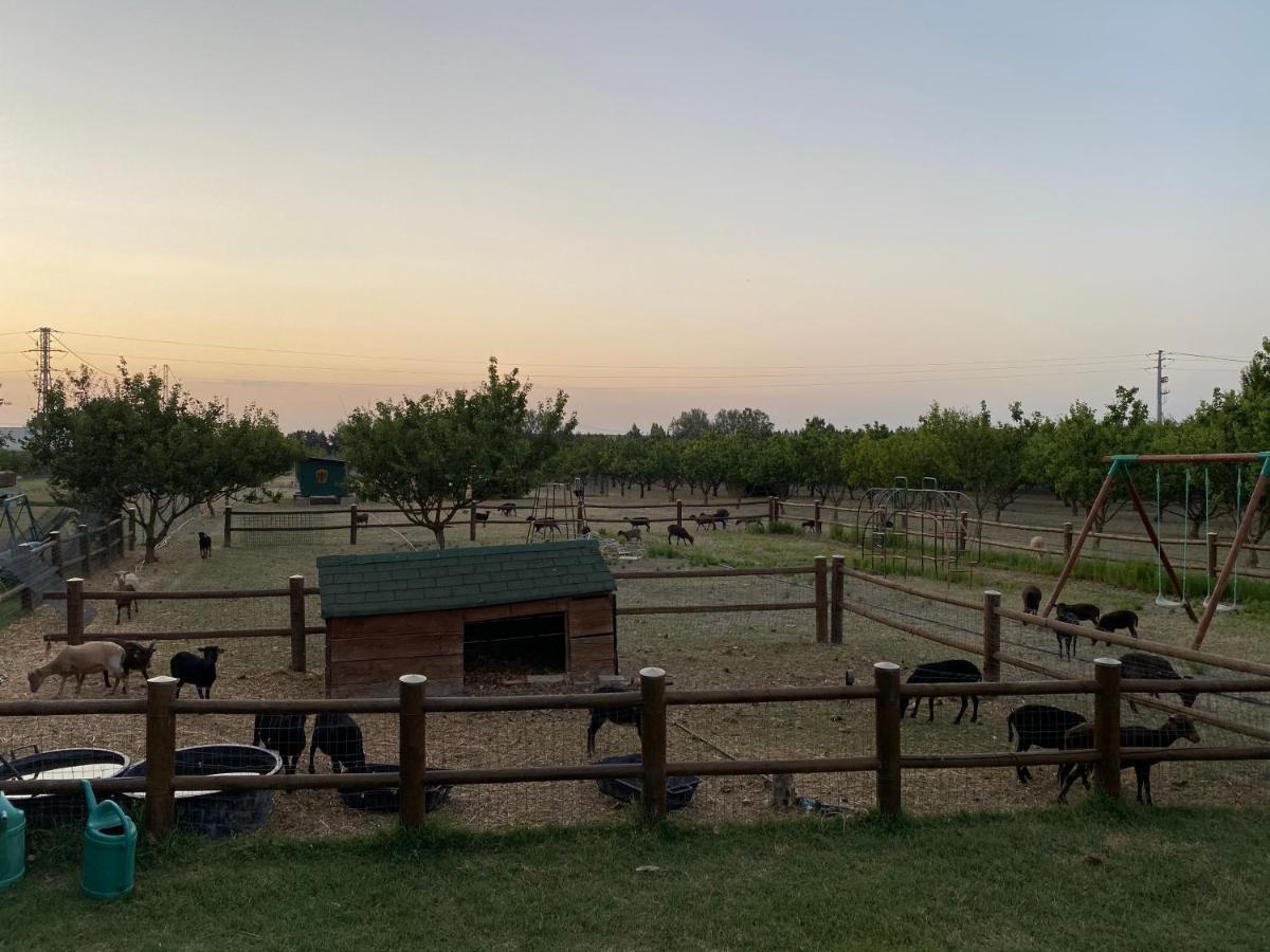 Agriturismo San Michele San Michele  ภายนอก รูปภาพ